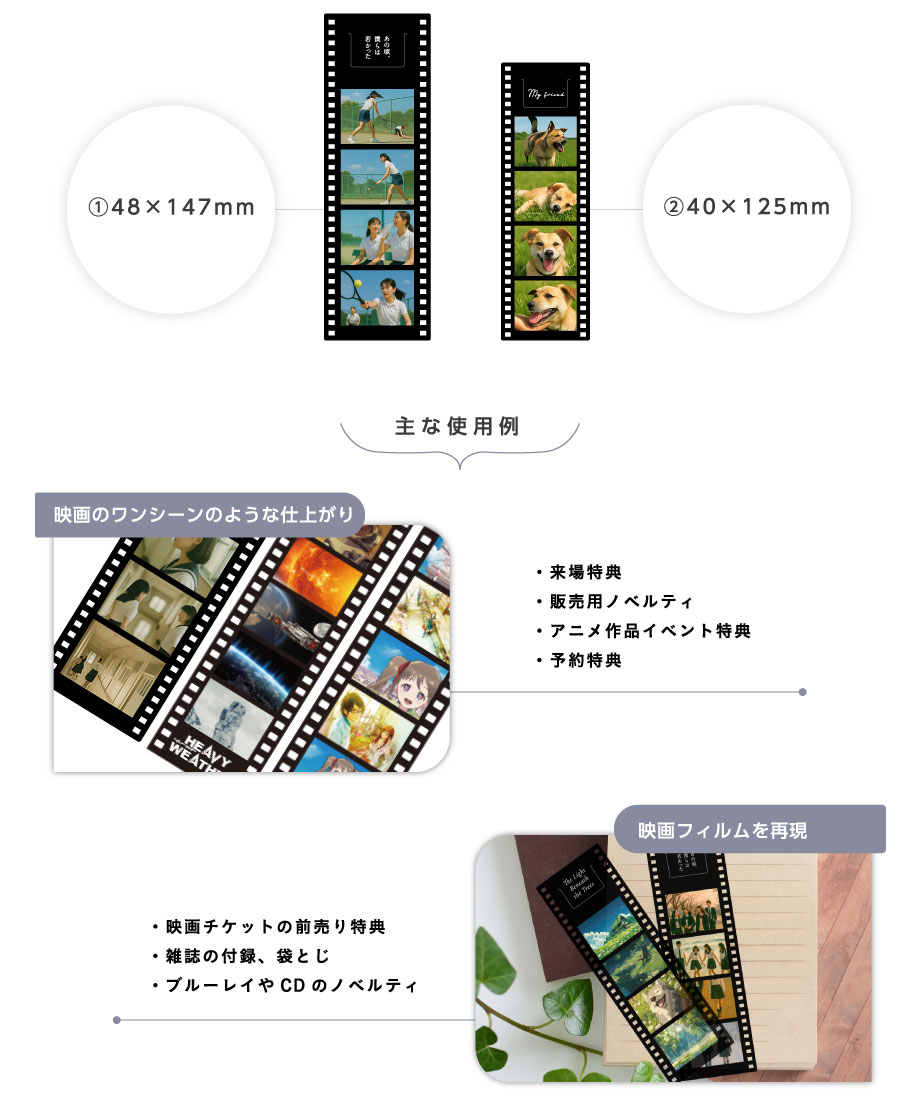 35mm幅と48mm幅の2種類のサイズを選択