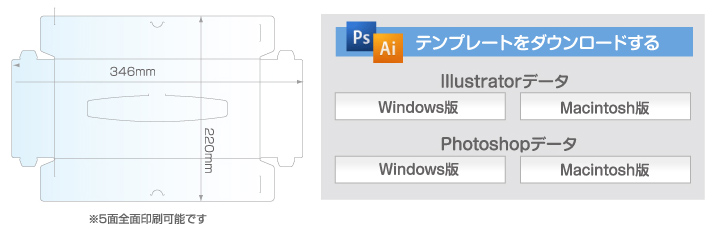 サイズ